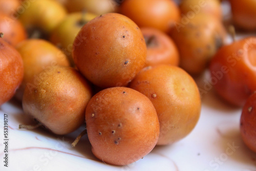 Indian Jujube or ber or berry.  A Ziziphus mauritiana, also known as Ber, Chinee Apple, Jujube, Indian plum and Masau is a tropical fruit tree species belonging to the family Rhamnaceae. photo
