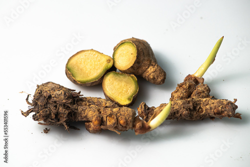 turmeric, ginger, and laotian spices and herbs on a white background
