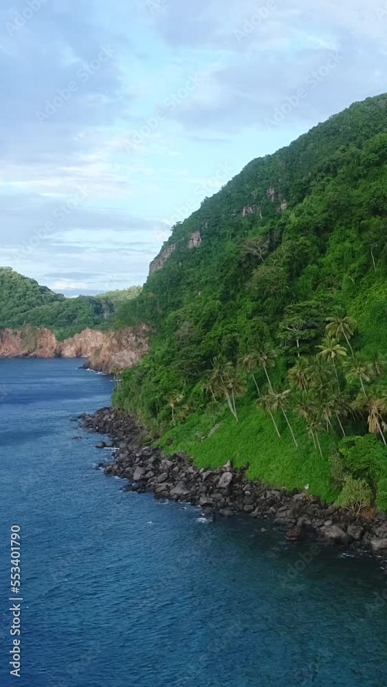Vertical video of Aerial shot of the coast of a remote tropical volcanic island