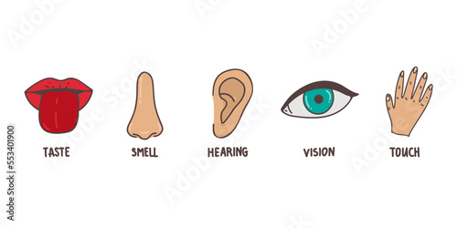 Five human senses line icons set. Vision, smell, hearing, touch, taste icons. Human sensory organs. Eye, nose, ear, hand, mouth icon set.