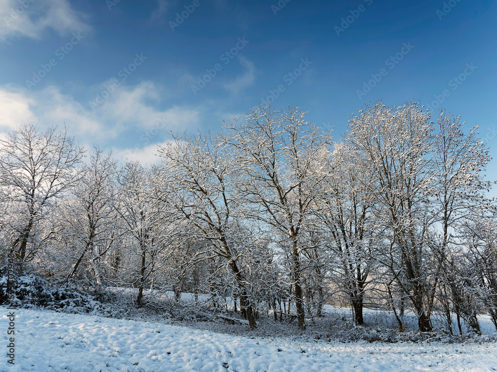 Schöne Winternaturlandschaft. Der Tüllinger Hügel unter dem Schnee Schöne Winternaturlandschaft. Der Tüllinger Hügel unter dem Schnee