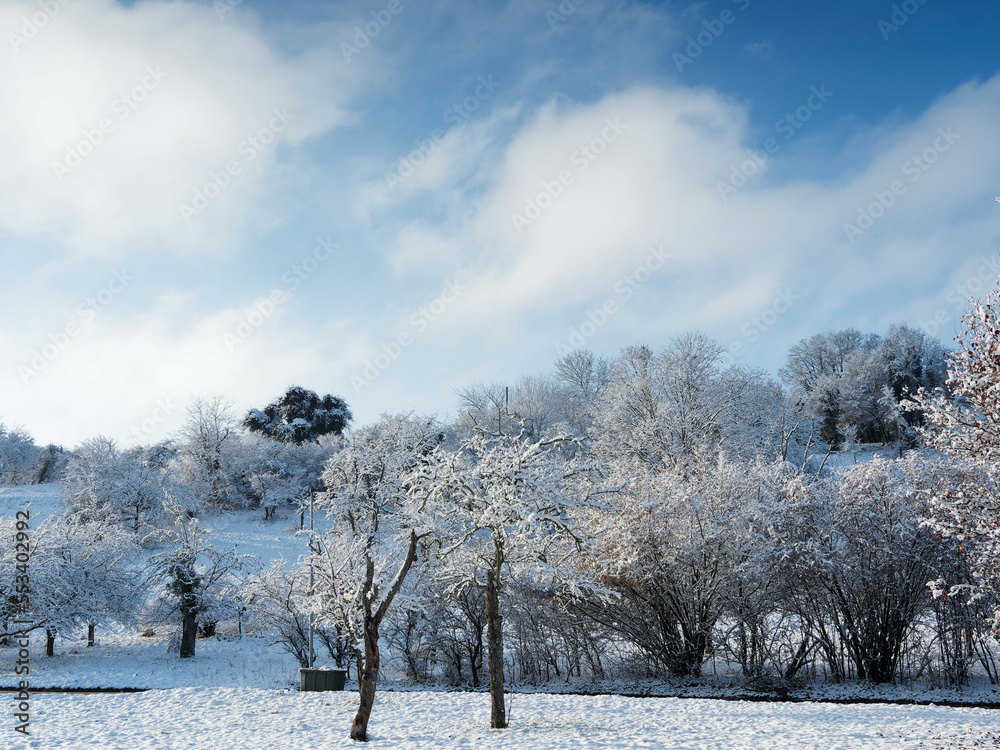 Natur im Winter. Schneebedeckter Tüllinger Hügel, hoher Berg im Lörrach, Südwesten von Baden-Württemberg an die Schweizer Grenze Natur im Winter. Schneebedeckter Tüllinger Hügel, hoher Berg im Lörrach, Südwesten von Baden-Württemberg an die Schweizer Grenze