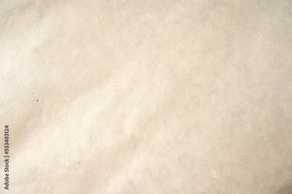 Fototapeta premium 和紙の壁紙