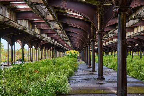 New Jersey travel train station abandoned with overgrowth
