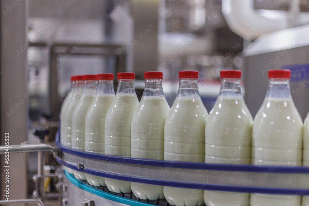 Closeup view of bottling line in a diary farm. Closeup view of bottling line in a diary farm.