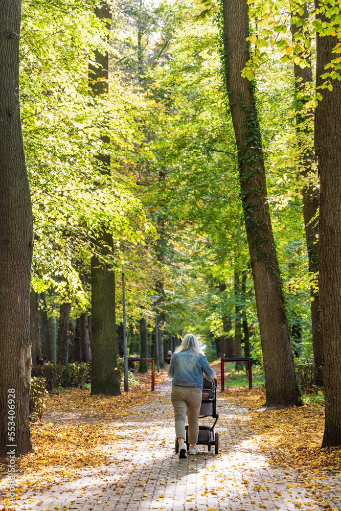 Obraz premium Walking in estate and park Nienoord in Leek municipality Westerkwartier Groningen province in The Netherlands