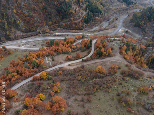 A colorful tree lined road through a rural area on an autumn day.şavşat.artvin.turkey