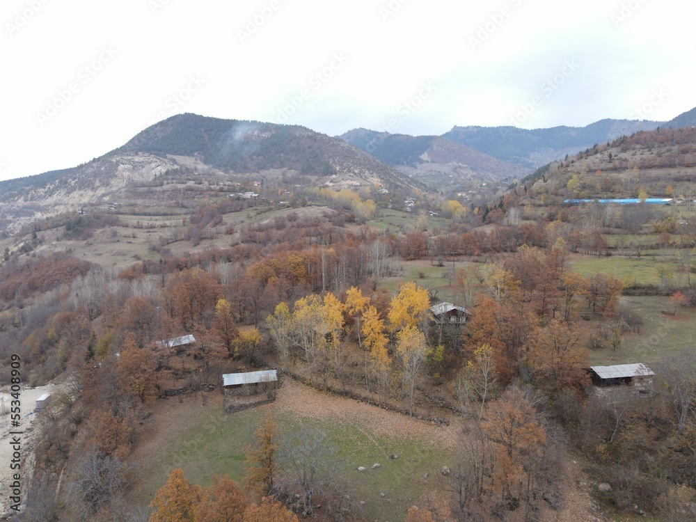 A colorful tree lined road through a rural area on an autumn day.şavşat.artvin.turkey A colorful tree lined road through a rural area on an autumn day.şavşat.artvin.turkey