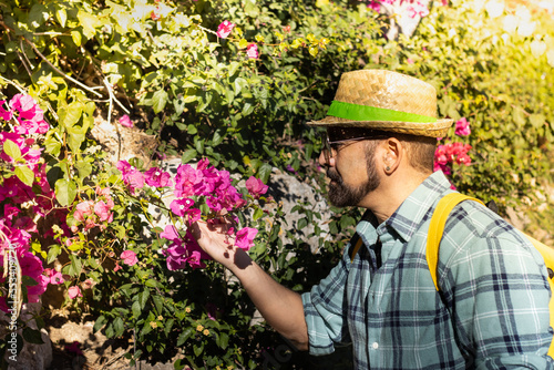Man with straw hat observing a bougainvillea in the botanical garden of Barcelona (Spain).
