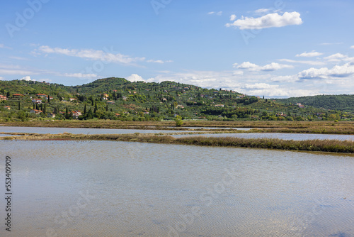 Green hills around the saltworks of Sicciole, a traditional salt extraction area photo