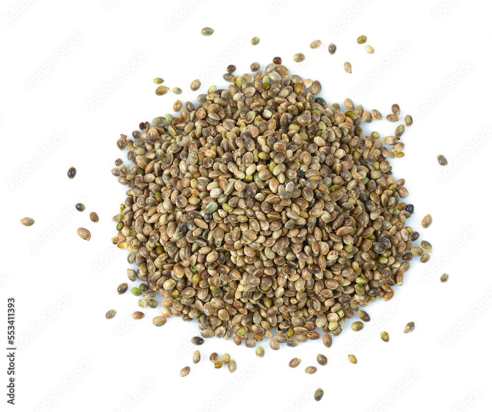 hemp seed isolated on white background hemp seed isolated on white background