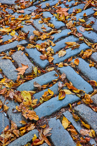Detail of brick pattern on ground with fall leaves covering