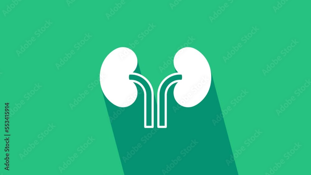 White Human kidneys icon isolated on green background. 4K Video motion graphic animation White Human kidneys icon isolated on green background. 4K Video motion graphic animation