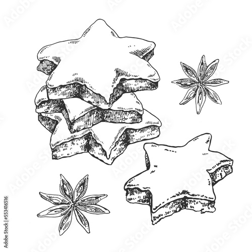 Hand drawn vector Zimtsterne illustration. Traditional Germany Christmas star cookies with almond and sugar. Sweet holiday dessert template for menu, ad, label design