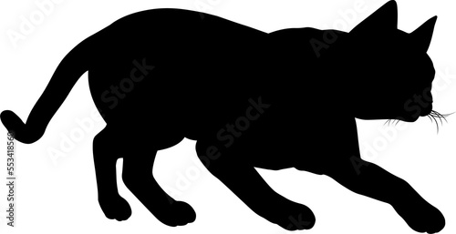 Silhouette Cat Pet Animal