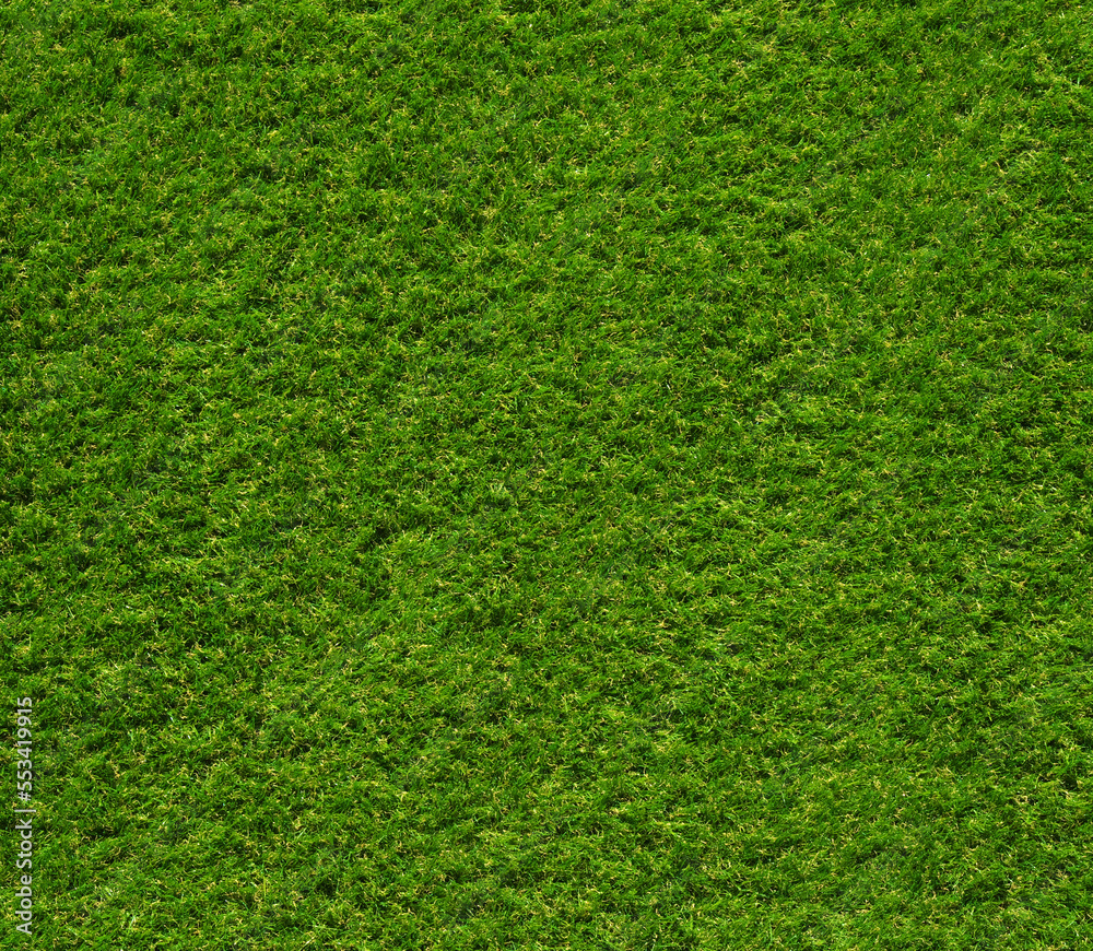 Green grass texture background Green grass texture background