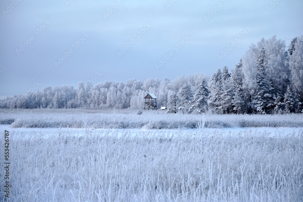Beautiful winter scenery on a frozen day with lake and forest covered with white snow, selective focus Beautiful winter scenery on a frozen day with lake and forest covered with white snow, selective focus