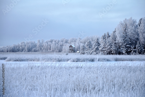 Beautiful winter scenery on a frozen day with lake and forest covered with white snow, selective focus