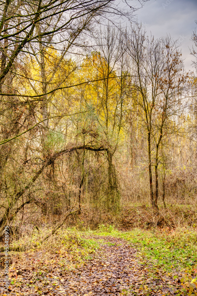 Autumn colors in the Hungarian countryside, HDR Image Autumn colors in the Hungarian countryside, HDR Image