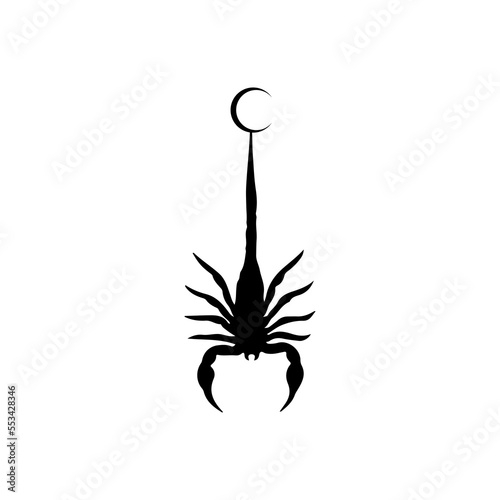 scorpion silhouette vector illustration concept