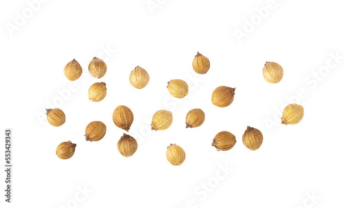 Coriander seeds isolated on transparent png