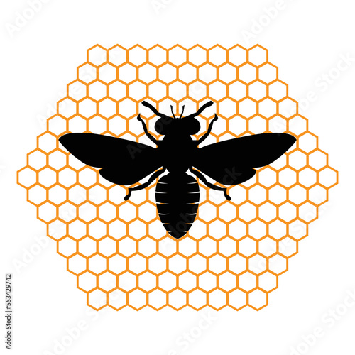 vector wasp logo icon