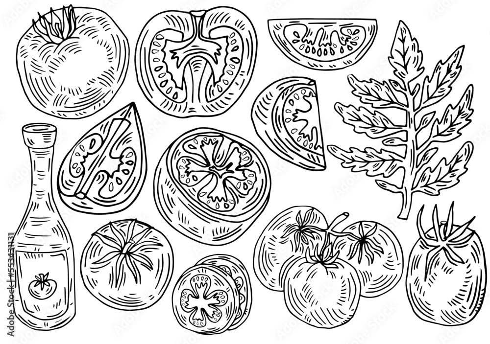 Hand drawn tomato set. Tomatoes, slices, halves, cherry tomatoes and bunch isolated on white background. Outline ink slyle sketch. Vector coloring illustration.