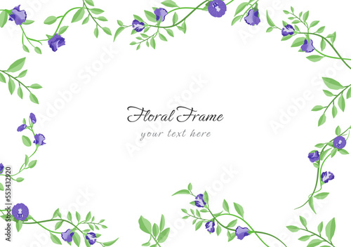 blooming butterfly pea flower rectangle frame vector