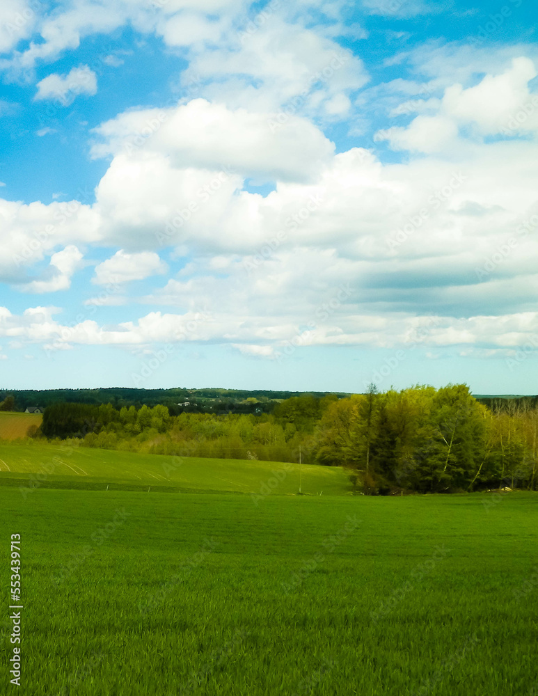 Green fields in Kashubia region - Northern Poland. Green fields in Kashubia region - Northern Poland.