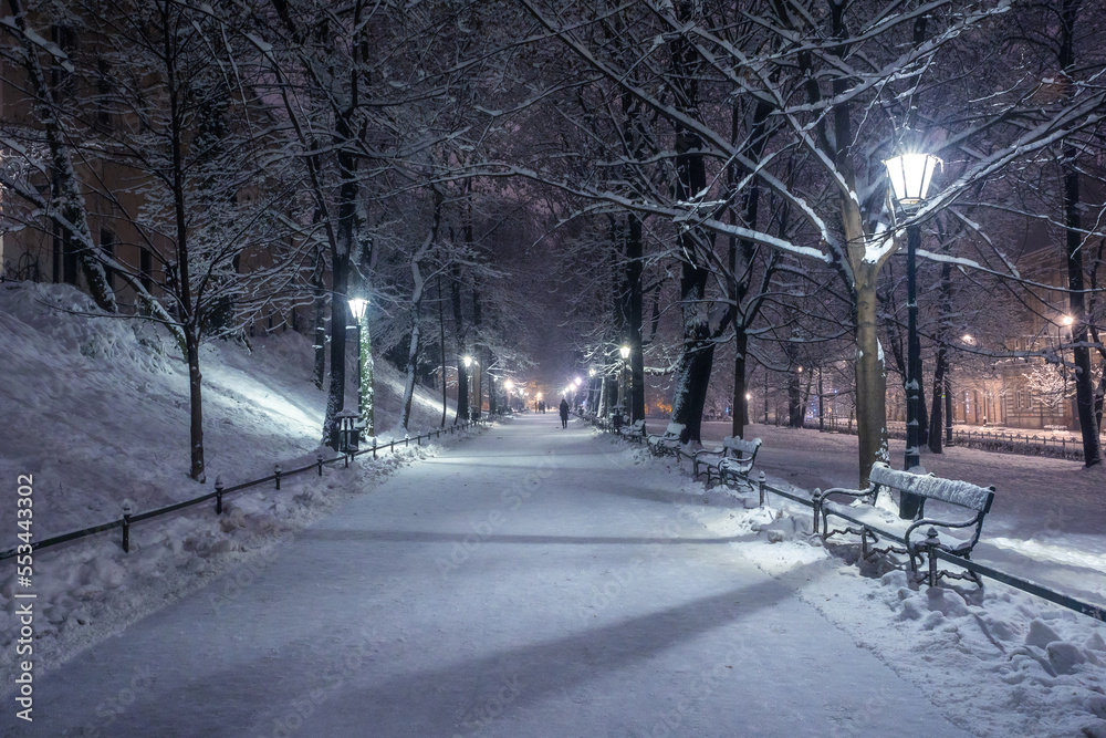 A snow-covered park in Krakow captured at night. Thanks to the large amount of snow, a fairy-tale atmosphere was created. A snow-covered park in Krakow captured at night. Thanks to the large amount of snow, a fairy-tale atmosphere was created.