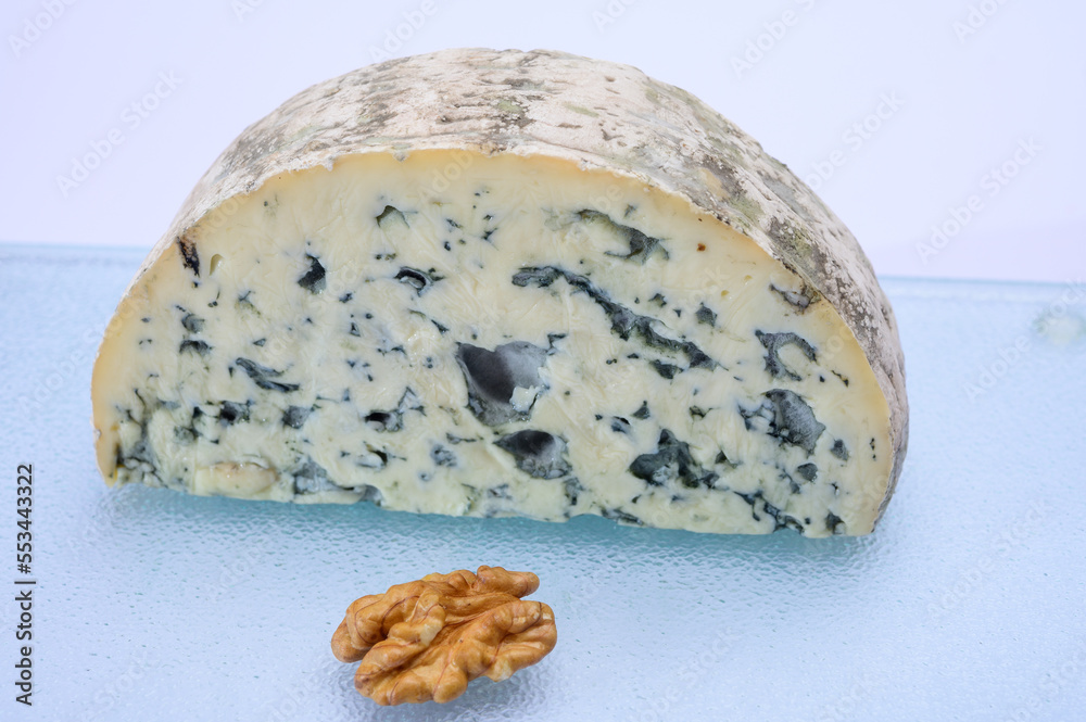 Cheese collection, piece of French blue cheese auvergne or fourme d'ambert Cheese collection, piece of French blue cheese auvergne or fourme d'ambert
