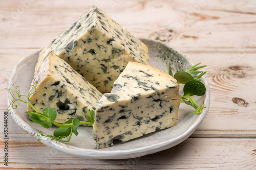 Cheese collection, piece of French blue cheese auvergne or fourme d'ambert