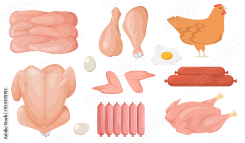 Cartoon chicken fresh raw meat vector set