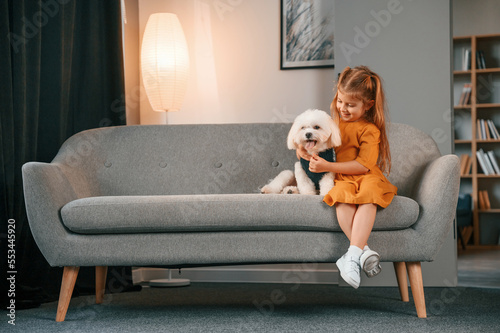 Little girl in yellow clothes is sitting on the sofa with maltese dog indoors in domestic room