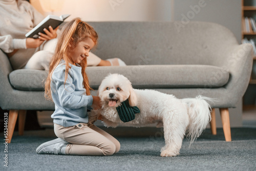 Woman is on the sofa with book. Mother with daughter is at home with maltese dog