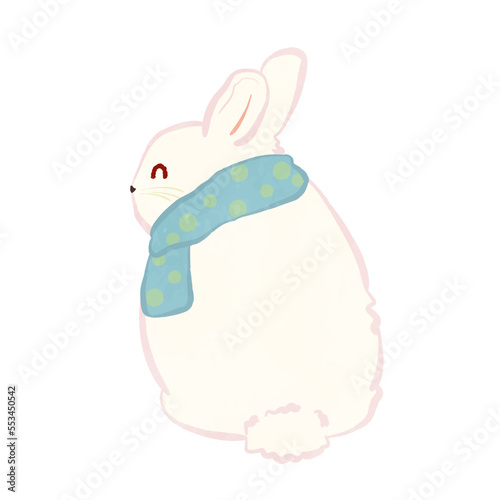 A cute rabbit with a muffler from behind