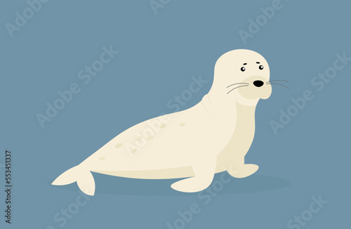 Northern fur seal - illustration  vector  cartoon