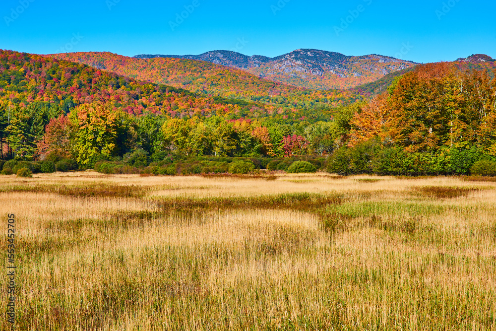 Golden fields with colorful fall mountains in background