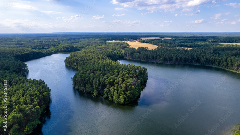 Aerial view of the forest on a sunny summer day. top down the drone. Poland near the city of Barlinek