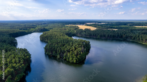 Aerial view of the forest on a sunny summer day. top down the drone. Poland near the city of Barlinek © Sebastian