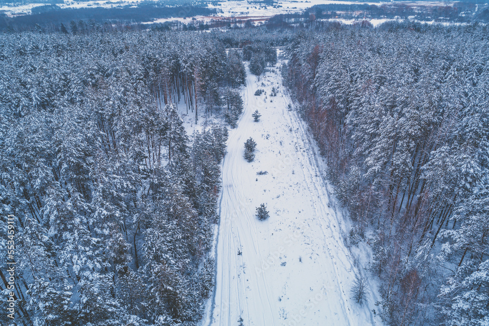 Clearing in a snowy pine forest in winter. View from above
