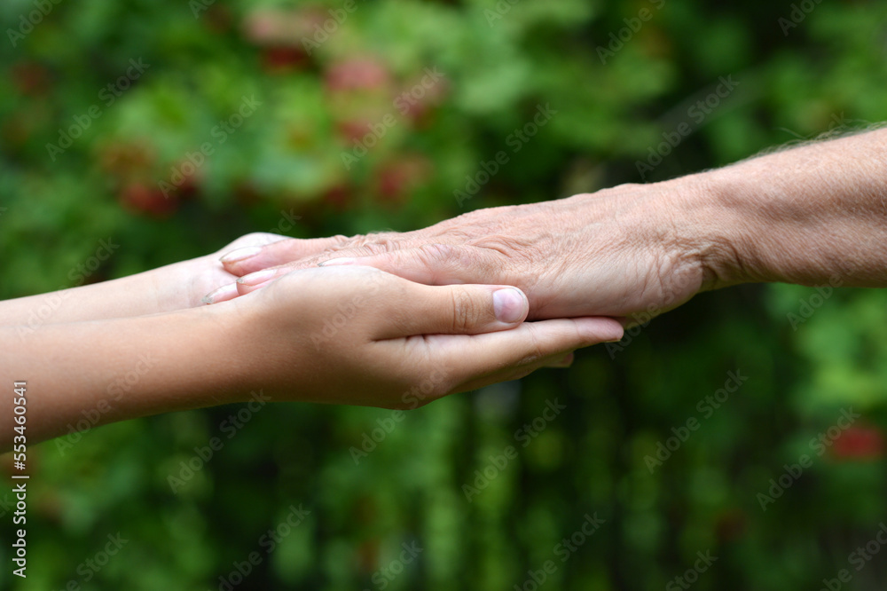 senior woman and child holding hands on a green background senior woman and child holding hands on a green background