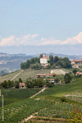 Langhe vineyards near Grinzane Cavour. Unesco Site  Piedmont  Italy
