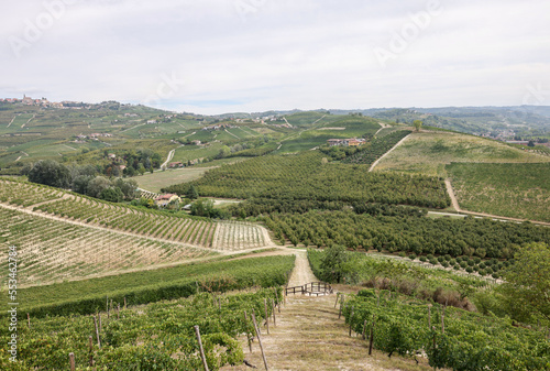 Langhe vineyards near Grinzane Cavour. Unesco Site, Piedmont, Italy