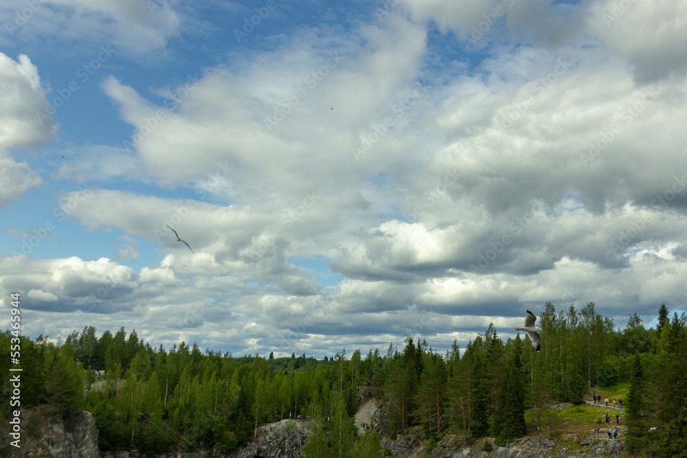 Clouds in the sky over the forest. High quality photo