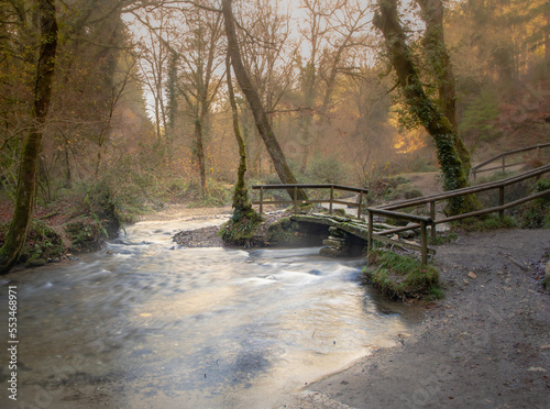 A picturesque scene of a stream in woodlands located at Cardinham woods, Cornwall, UK