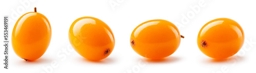 Konstfotografi Buckthorn isolated