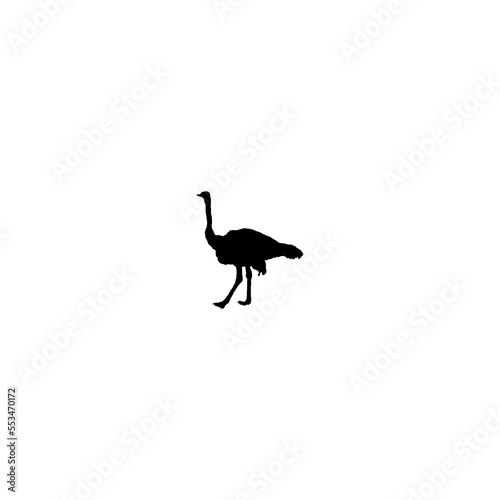 Ostrich icon. Simple style ostrich meat big sale poster background symbol. Ostrich brand logo design element. Ostrich t-shirt printing. vector for sticker.