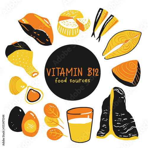 Collection of vitamin B12 food. cheese, eggs, clams, beef, turkey, milk, liver, spinach, sardines, tuna, salmon. Dietetic products, organic natural nutrition. Flat vector cartoon illustration