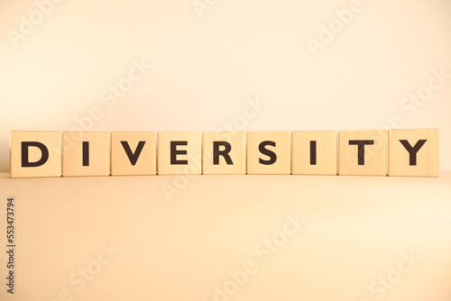 「DIVERSITY」の文字
